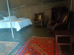 Tent with a difference